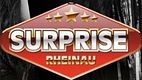Lifestyle Resort Rheinau logo